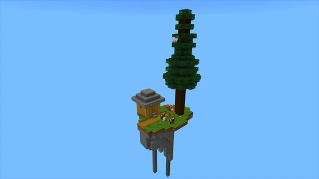 Basic SkyBlock