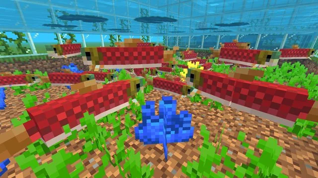 Find The Button: Fish Pond